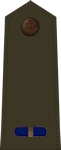 United States Army Air Forces Flight Officer
