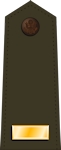 United States Army Air Forces Second Lieutenant