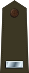 United States Army Air Forces First Lieutenant