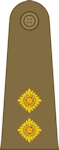 Royal Canadian Army Lieutenant
