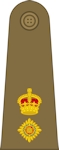 British Army Lieutenant Colonel