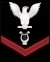 US Coast Guard Musician Petty Officer Third Class