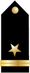 United States Navy Ensign