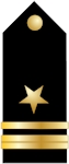 United States Navy Lieutenant Junior Grade