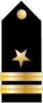 United States Navy Lieutenant