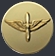 USAAF Enlisted Collar Insignia