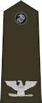 United States Marine Corps Colonel